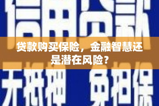 丰宁贷款购买保险，金融智慧还是潜在风险？