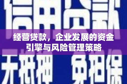 丰宁经营贷款，企业发展的资金引擎与风险管理策略