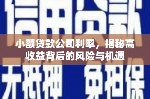 丰宁小额贷款公司利率，揭秘高收益背后的风险与机遇