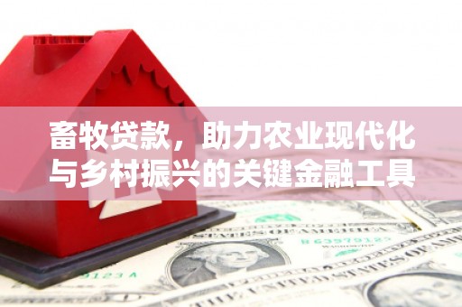 丰宁畜牧贷款，助力农业现代化与乡村振兴的关键金融工具