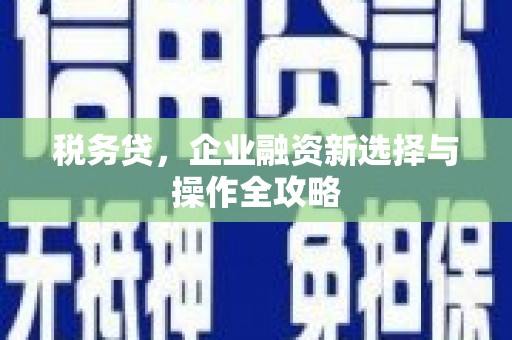 丰宁税务贷，企业融资新选择与操作全攻略