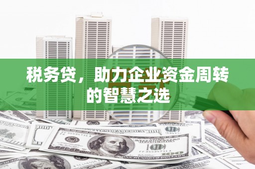 丰宁税务贷，助力企业资金周转的智慧之选
