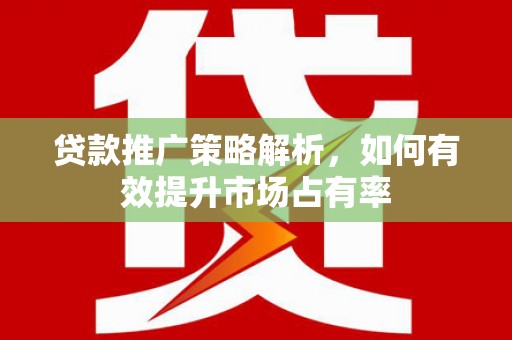丰宁贷款推广策略解析，如何有效提升市场占有率