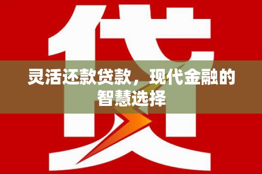 丰宁灵活还款贷款，现代金融的智慧选择