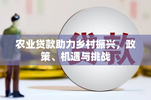 丰宁农业贷款助力乡村振兴，政策、机遇与挑战