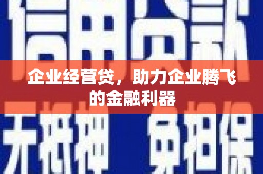 丰宁企业经营贷，助力企业腾飞的金融利器