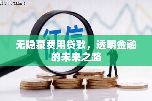 丰宁无隐藏费用贷款，透明金融的未来之路