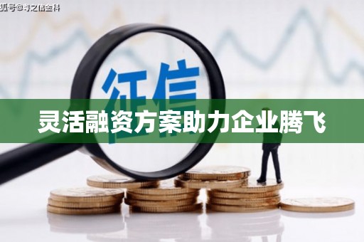 丰宁灵活融资方案助力企业腾飞