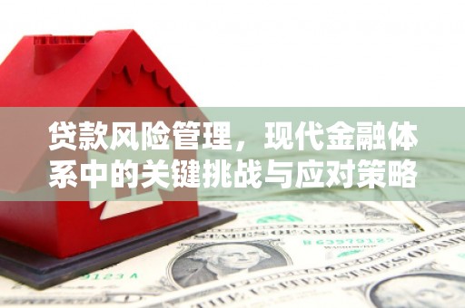 丰宁贷款风险管理，现代金融体系中的关键挑战与应对策略