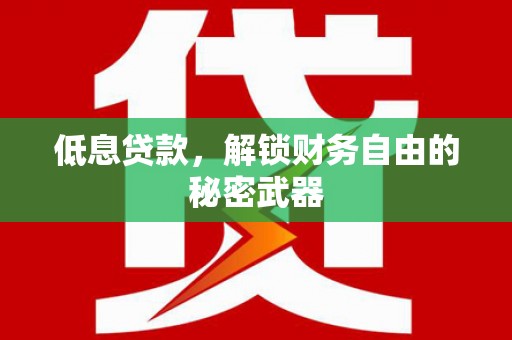 丰宁低息贷款，解锁财务自由的秘密武器