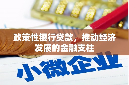 丰宁政策性银行贷款，推动经济发展的金融支柱