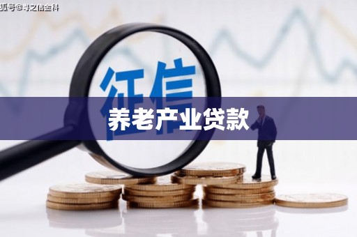 丰宁养老产业贷款