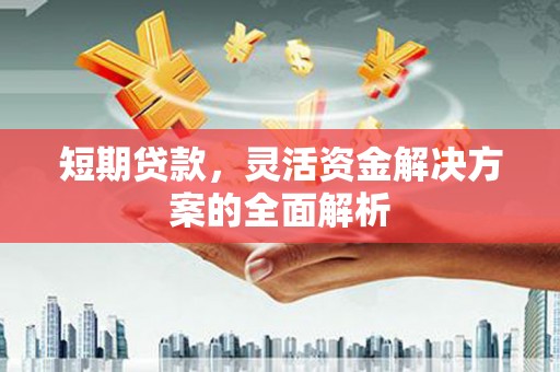 丰宁短期贷款，灵活资金解决方案的全面解析