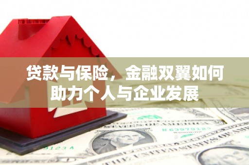 丰宁贷款与保险，金融双翼如何助力个人与企业发展
