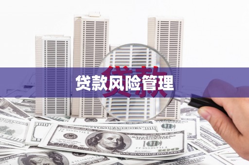 丰宁贷款风险管理