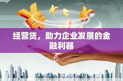 丰宁经营贷，助力企业发展的金融利器