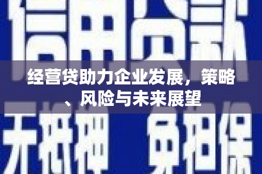 丰宁经营贷助力企业发展，策略、风险与未来展望