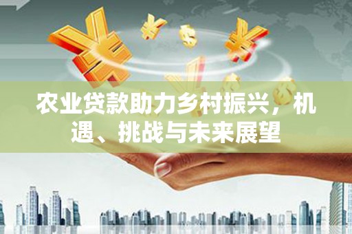丰宁农业贷款助力乡村振兴，机遇、挑战与未来展望