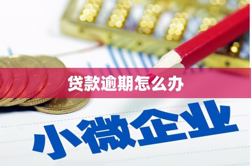 丰宁贷款逾期怎么办