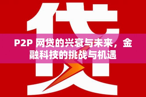 丰宁P2P 网贷的兴衰与未来，金融科技的挑战与机遇