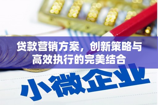 丰宁贷款营销方案，创新策略与高效执行的完美结合