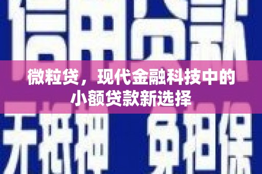 丰宁微粒贷，现代金融科技中的小额贷款新选择
