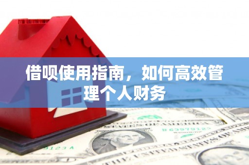 丰宁借呗使用指南，如何高效管理个人财务
