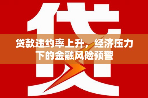 丰宁贷款违约率上升，经济压力下的金融风险预警