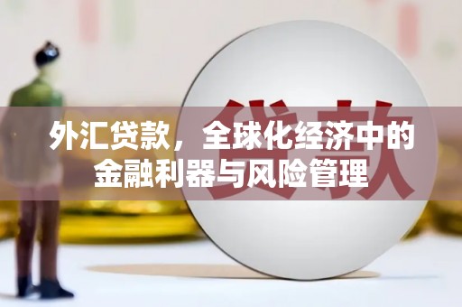丰宁外汇贷款，全球化经济中的金融利器与风险管理