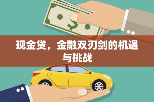 丰宁现金贷，金融双刃剑的机遇与挑战