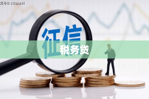 丰宁税务贷