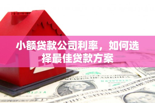 丰宁小额贷款公司利率，如何选择最佳贷款方案