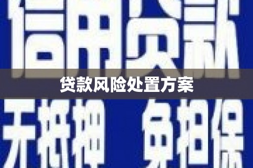 丰宁贷款风险处置方案