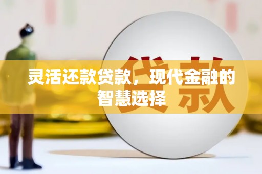 丰宁灵活还款贷款，现代金融的智慧选择