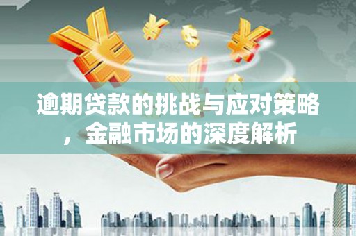 丰宁逾期贷款的挑战与应对策略，金融市场的深度解析