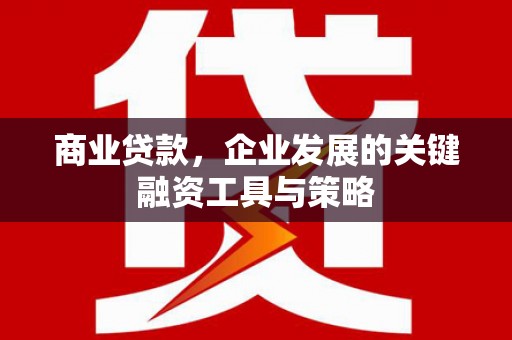 丰宁商业贷款，企业发展的关键融资工具与策略