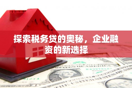 丰宁探索税务贷的奥秘，企业融资的新选择