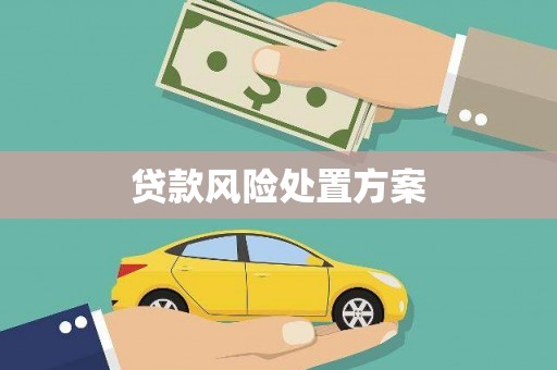 丰宁贷款风险处置方案