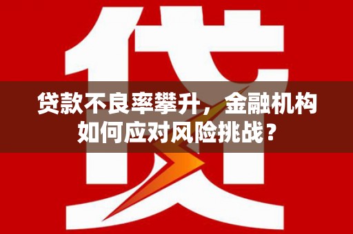 丰宁贷款不良率攀升，金融机构如何应对风险挑战？