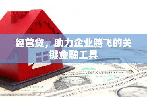 丰宁经营贷，助力企业腾飞的关键金融工具