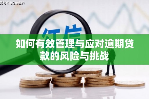 丰宁如何有效管理与应对逾期贷款的风险与挑战