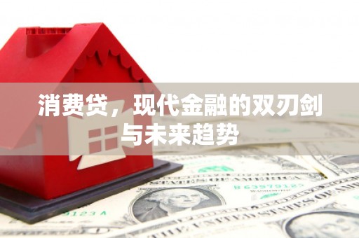 丰宁消费贷，现代金融的双刃剑与未来趋势