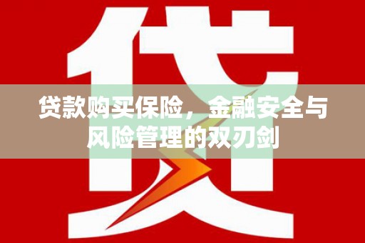 丰宁贷款购买保险，金融安全与风险管理的双刃剑