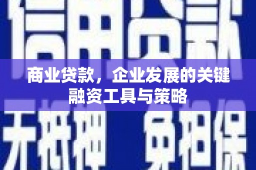 丰宁商业贷款，企业发展的关键融资工具与策略