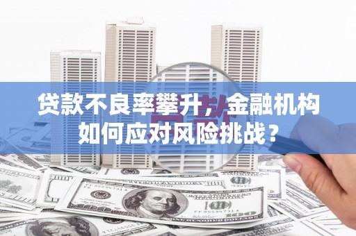丰宁贷款不良率攀升，金融机构如何应对风险挑战？