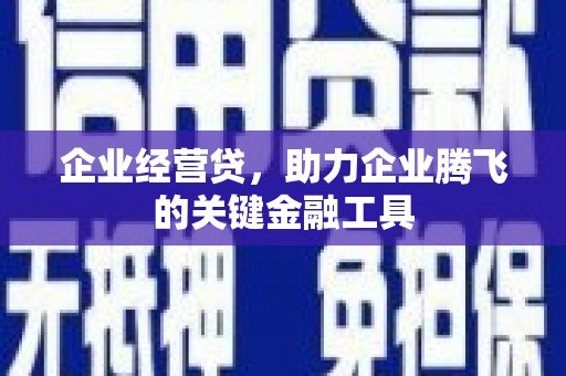 丰宁企业经营贷，助力企业腾飞的关键金融工具