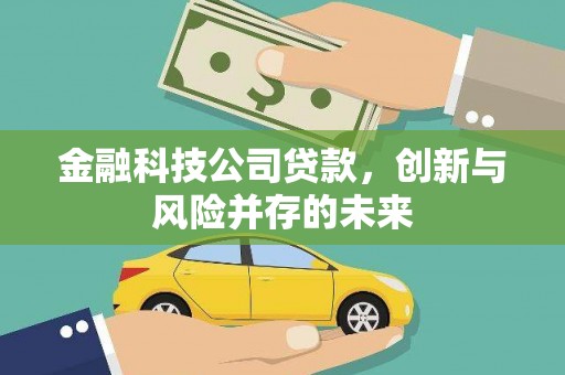 丰宁金融科技公司贷款，创新与风险并存的未来