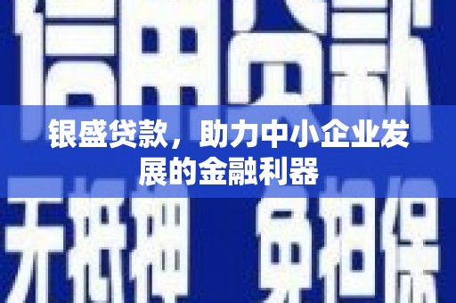 丰宁银盛贷款，助力中小企业发展的金融利器