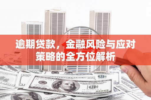 丰宁逾期贷款，金融风险与应对策略的全方位解析