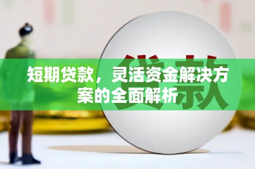 丰宁短期贷款，灵活资金解决方案的全面解析